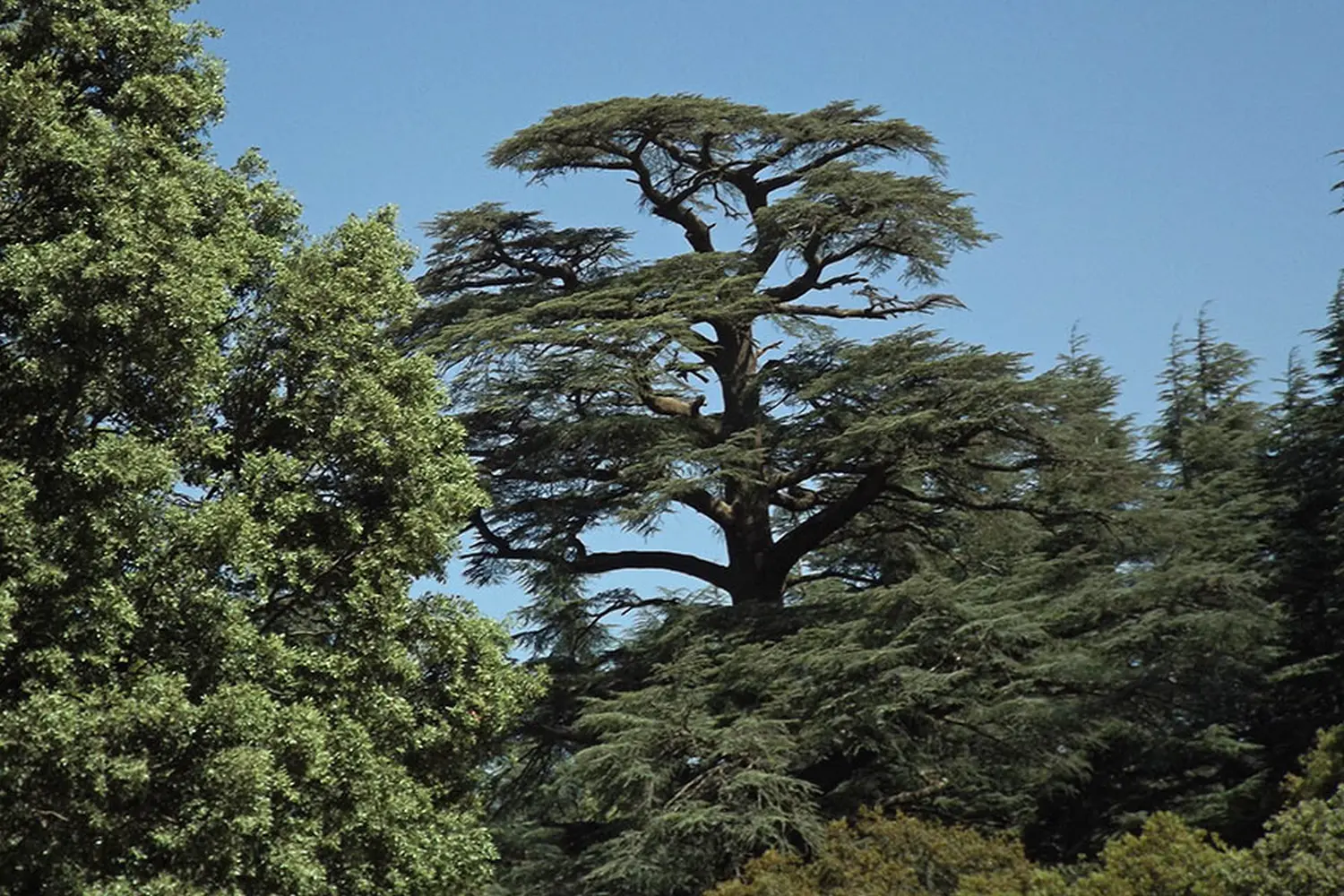 Caravane de Rêve – Höhepunkte der Wüstentouren ab Fès