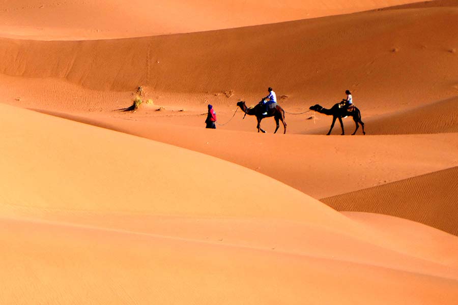 Highlight in Morocco - camel trekking between the dunes