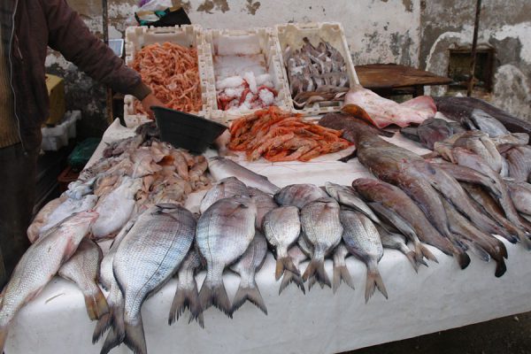 Frische Fische im Hafen von Essaouira