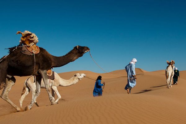 Camel trekking with Caravane de Rêve