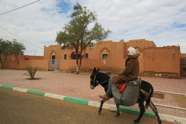Unterwegs auf dem Esel irgendwo in Marokko