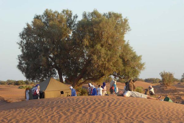 Mobile camp during the camel trekking