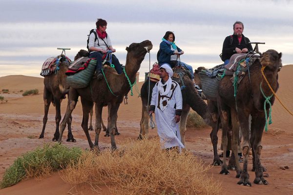 Camel trekking with Abdul in the desert