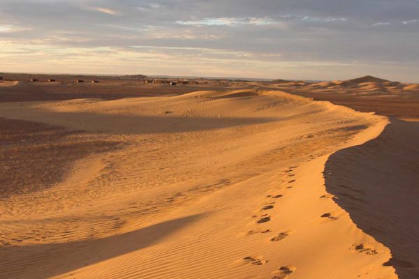 Desert landscape