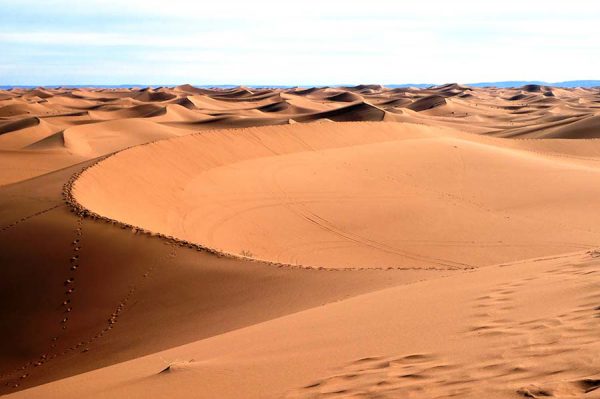 Desert landscape Erg Chegaga