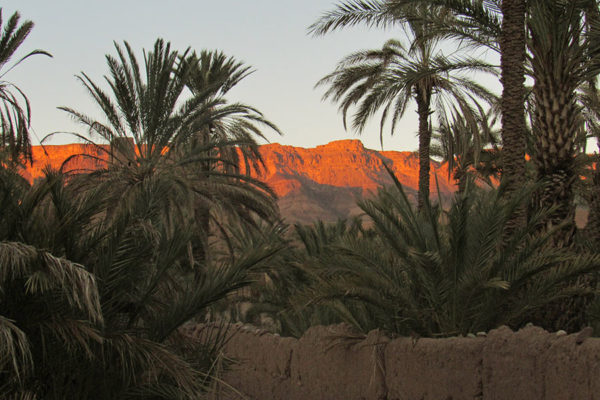 Evening sun at Tamnougalt near Quarzazate