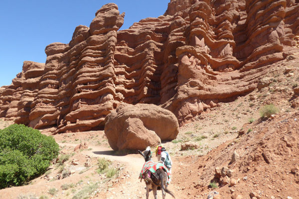 Die Dades Schlucht zwischen Fès und Marrakesch