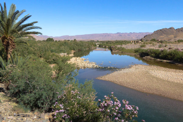 The green Draa Valley on the way to M'Hamid