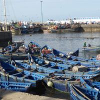 Fischereihafen von Essaouira