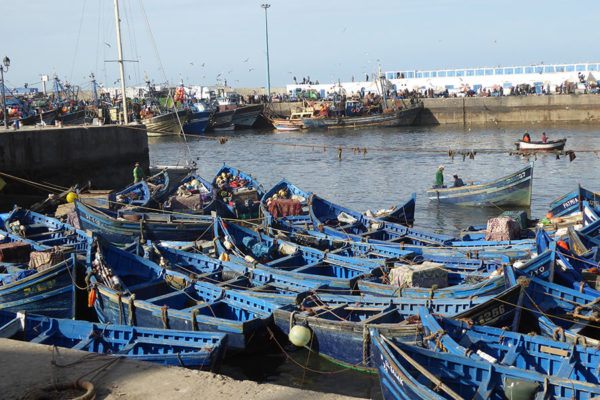 Fishing port of Essaouira